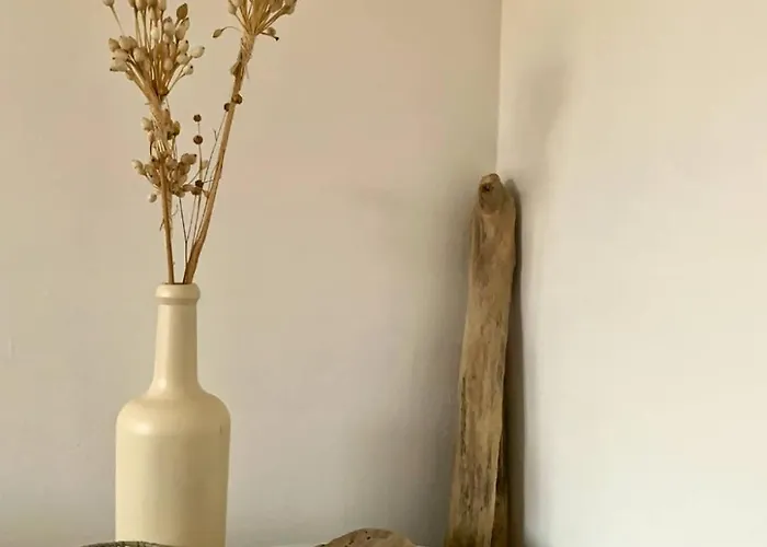 Pasteur 2 - Pour 4 Au Centre D'hossegor Lejlighed